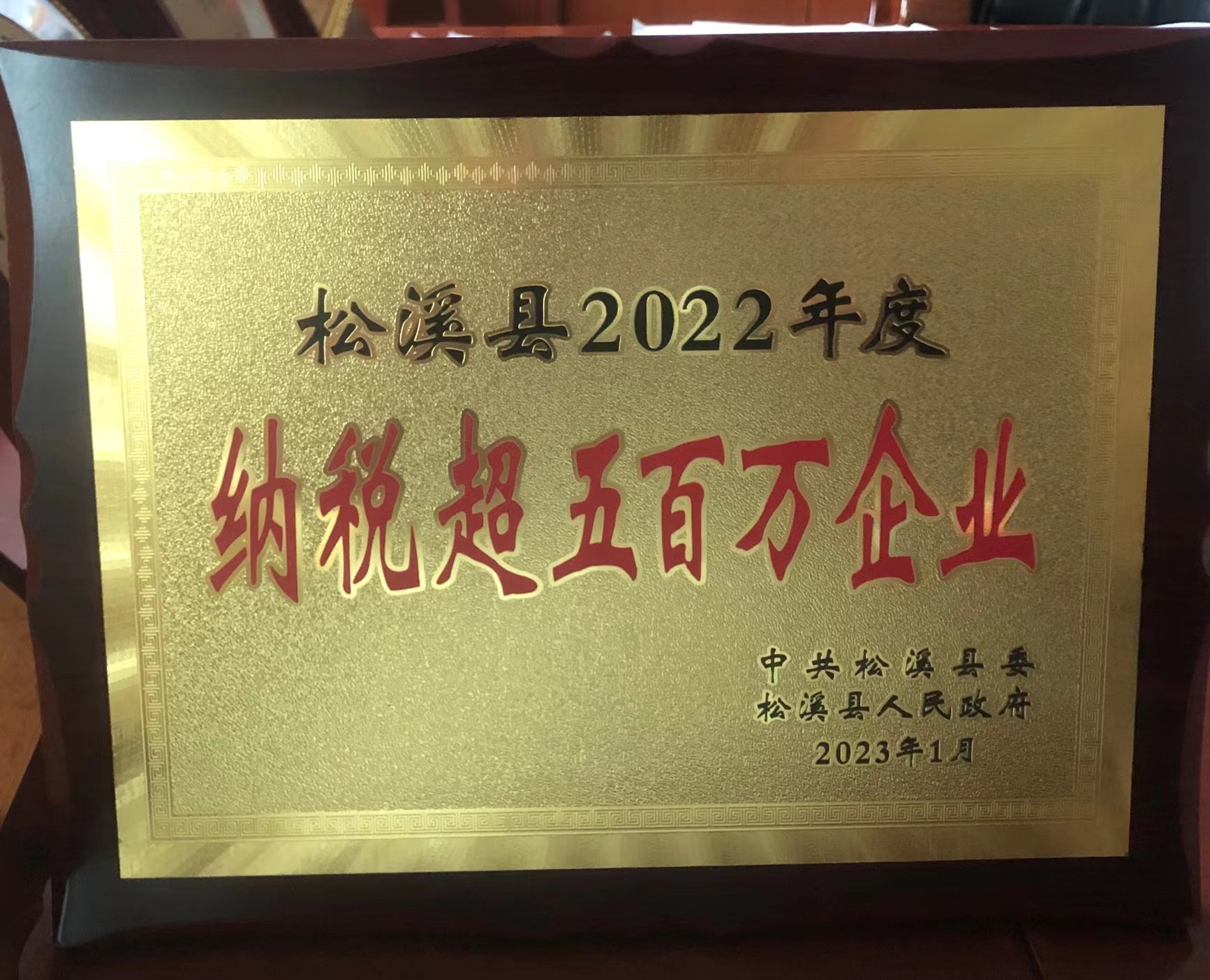 喜報！易順建工集團(tuán)喜獲“松溪縣2022年度納稅超五百萬企業(yè)”榮譽