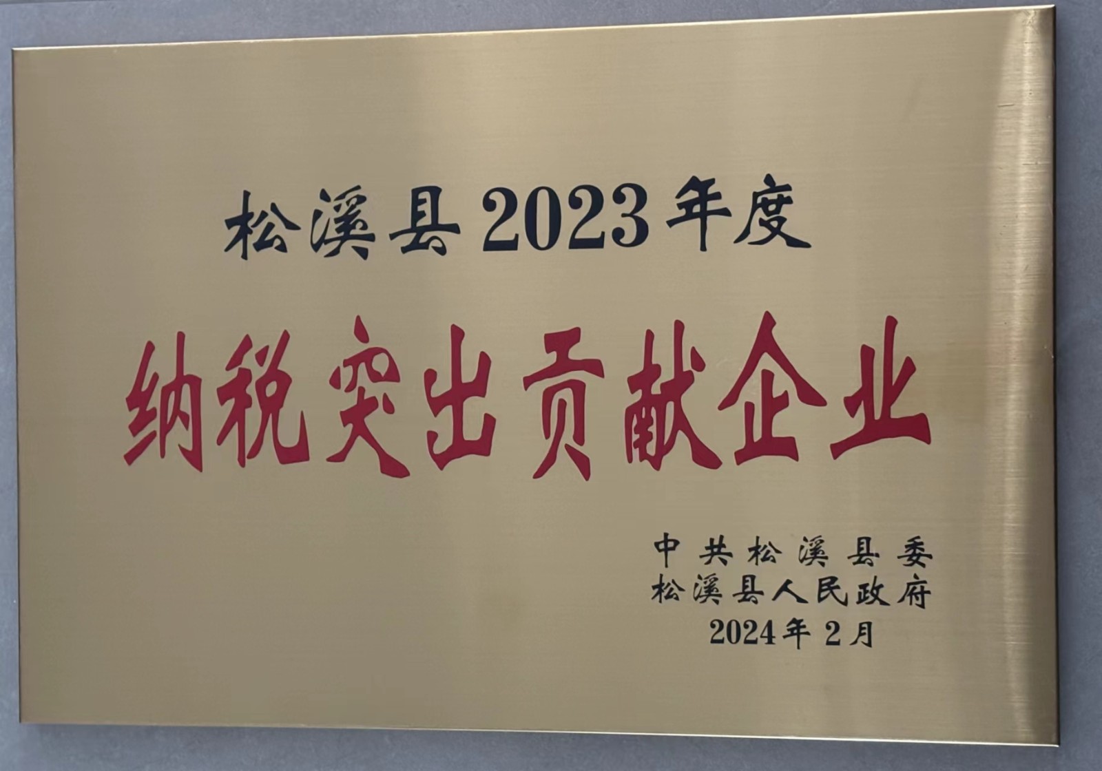 喜報(bào)！易順建工集團(tuán)榮獲“松溪縣2023年度納稅突出貢獻(xiàn)企業(yè)”稱號